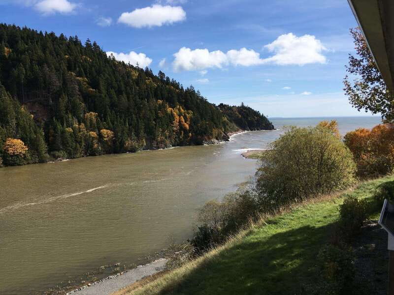 From Saint John: Bay of Fundy Bus Trip for Cruise Passengers - Why the Reversing Falls make a strong opening