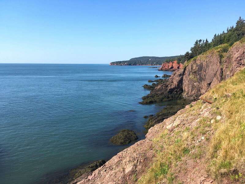 From Saint John: Bay of Fundy Bus Trip for Cruise Passengers - Carleton Martello Tower in a short visit