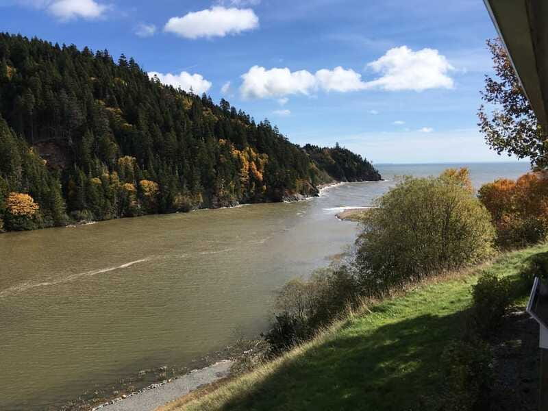 From Saint John: Bay of Fundy Bus Trip for Cruise Passengers - Sea caves, beaches, and possible food stops