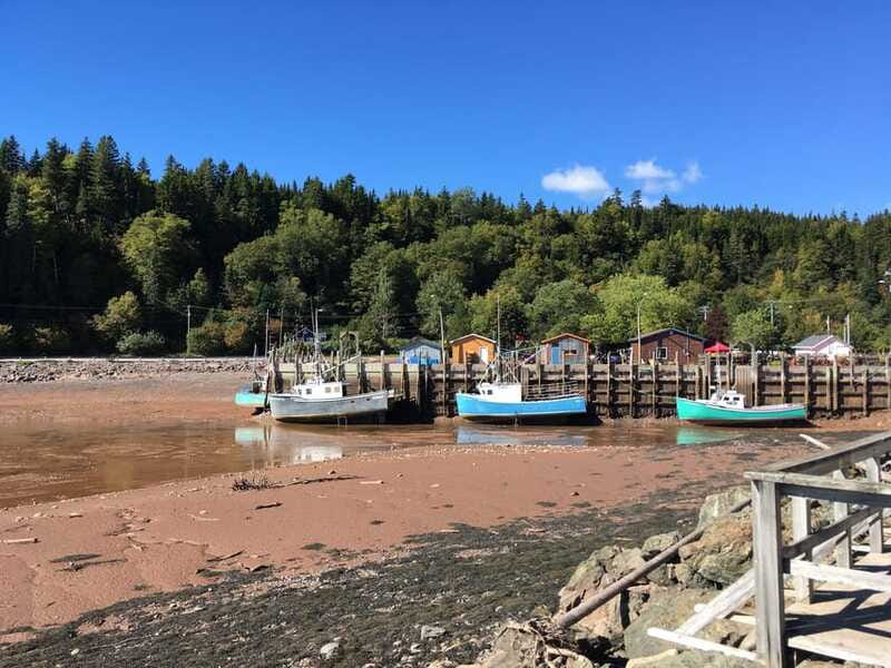 From Saint John: Bay of Fundy Bus Trip for Cruise Passengers - Guides are a major part of the value