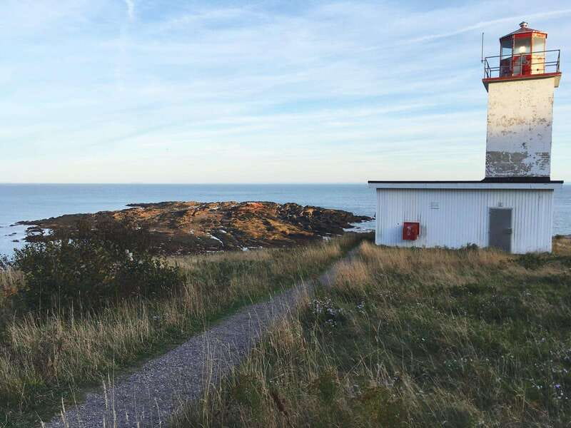 From Saint John: Bay of Fundy Bus Trip for Cruise Passengers - Bus comfort and group size