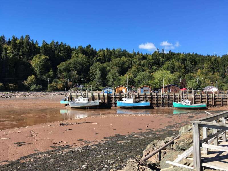 From Saint John: Bay of Fundy Bus Trip for Cruise Passengers - Fort Howe and Saint John’s military story