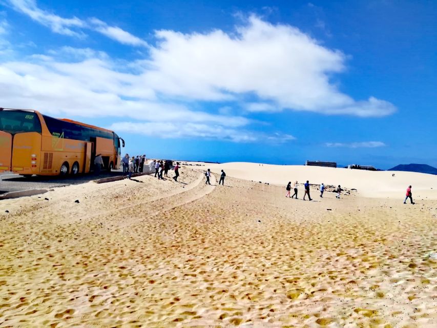 Fuerteventura: Corralejo Sand Dunes Guided Shore Excursion - Should you book the Corralejo dunes tour?