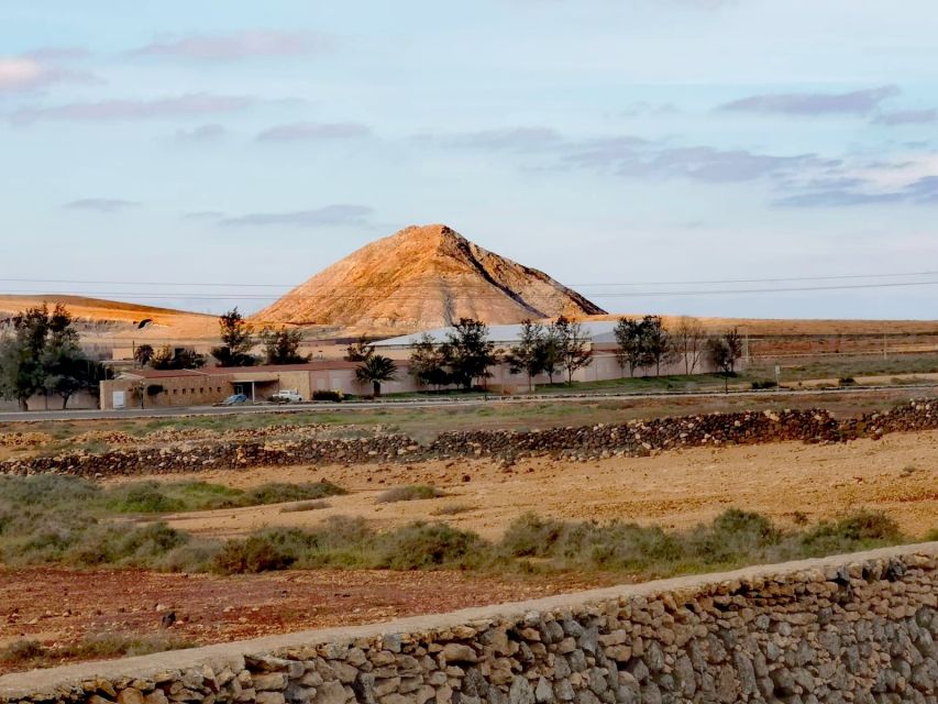 Fuerteventura: North of Fuerteventura for Cruise Passengers - The guide makes a real difference