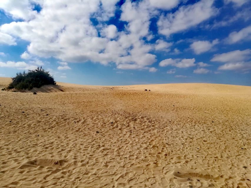Fuerteventura: North of Fuerteventura for Cruise Passengers - Leaving Puerto del Rosario for the northern coast