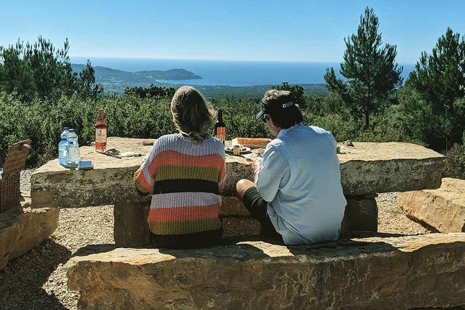 Full-Day Private Custom-Made Cannes Shore Excursion - What your guide adds to the day