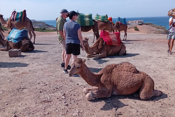 full day private tour of tangier from the cruise ship pick up - Is $138.41 per person a fair price?