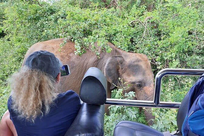 Galle ALL INCLUDED Tour from Hambantota Port (Shore excursions) - Who will enjoy this Galle shore excursion?