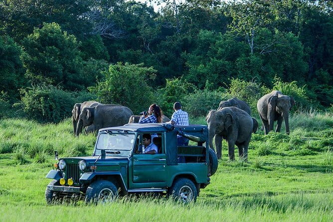 Galle ALL INCLUDED Tour from Hambantota Port (Shore excursions) - Booking, cancellation, and final practical advice