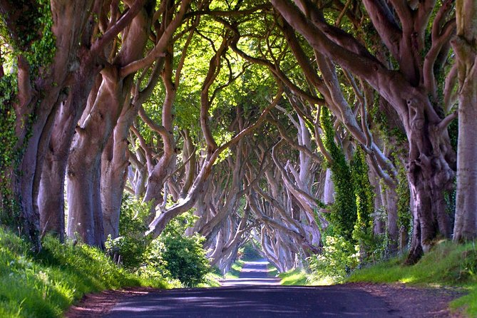 Giants Causeway, Belfast - Private Shore Excursion - Optional Carrick-a-Rede Bridge and the Dark Hedges