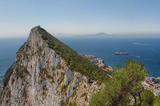 Gibraltar Shore Excursion: The Original Rock, Shop & Caves Tour - The Upper Rock and the Barbary macaques
