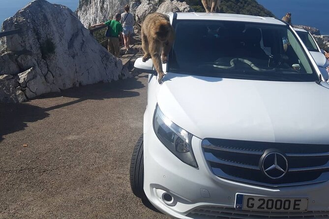 Gibraltar Sightseeing : Classic Shore Excursion (Private) - The Skywalk puts glass beneath your feet