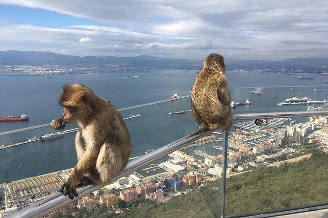 Gibraltar Sightseeing: Premium Rock Tour / Shore Excursion (Private) - St. Michael’s Cave and the angel-shaped formation
