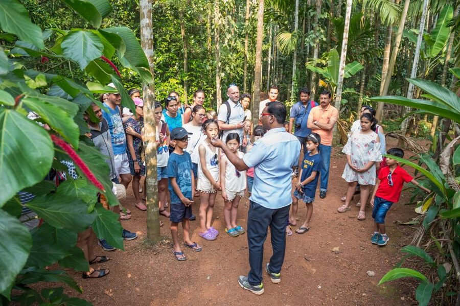 Goa Shore excursions : All inclusive Small Group tour - Fontainhas and the last look at Panjim