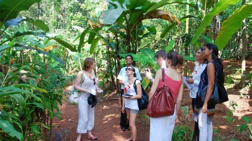 Goa Shore Excursions: Highlights of Goa - Fontainhas brings the day into Panaji