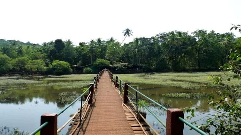 Goa Shore Excursions: Highlights of Goa - Transport, pace, and practical comfort