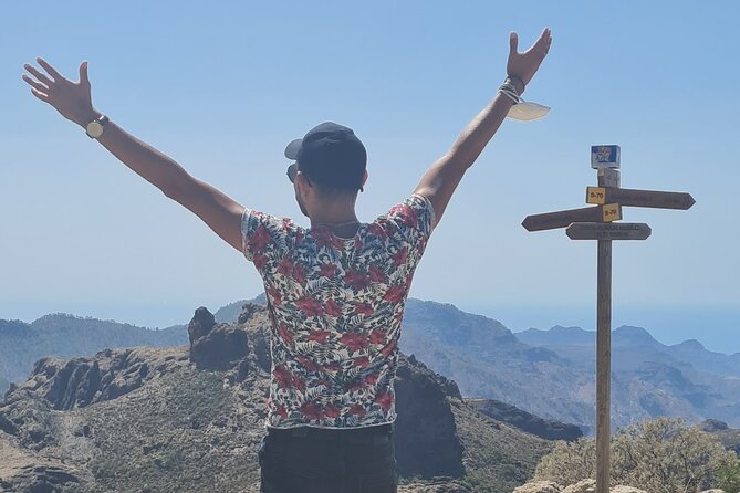 Gran Canaria Premium Tour: Volcanoes and Wine for cruisers - Caldera de los Marteles and volcanic farmland