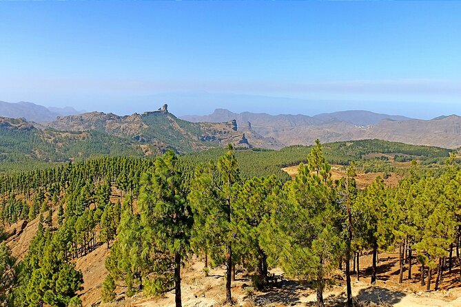 Gran Canaria Premium Tour: Volcanoes and Wine for cruisers - Caldera de Bandama, the day’s volcanic opening