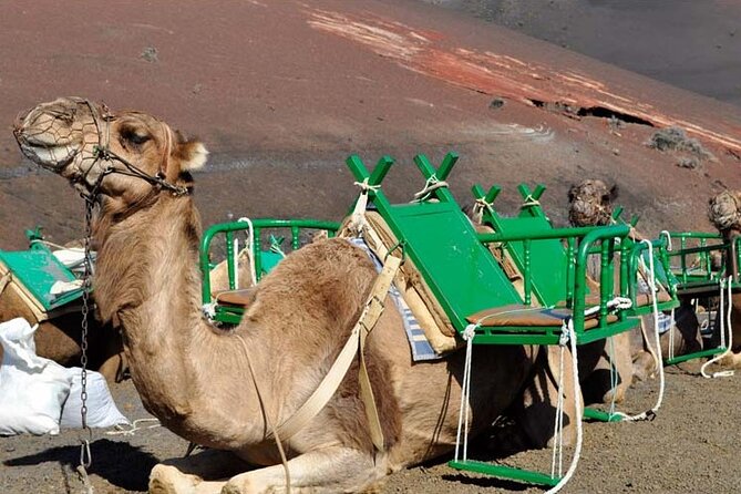 Grand Tour to Timanfaya and Jameos del Agua for cruise passengers - Mirador del Rio and the view toward La Graciosa