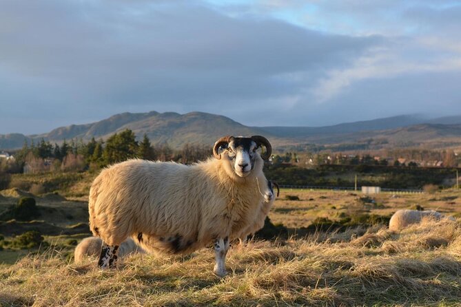 GREENOCK (GLASGOW) SHORE EXCURSION: Scotland Adventure Sightseeing Day Trip Tour - Key points to know before you book