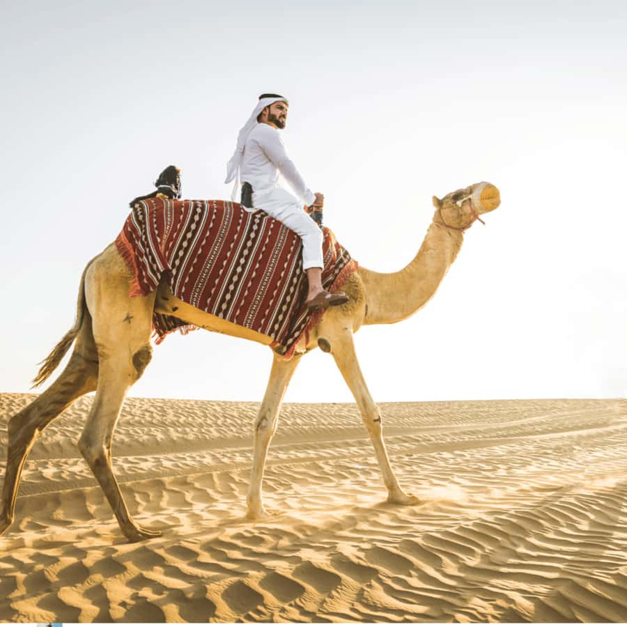 Half-Day Desert Safari For Cruise Ships Passngers. - From the cruise terminal to the open desert