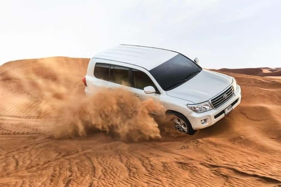 Half-Day Desert Safari For Cruise Ships Passngers. - A short camel ride at the Arabian camp