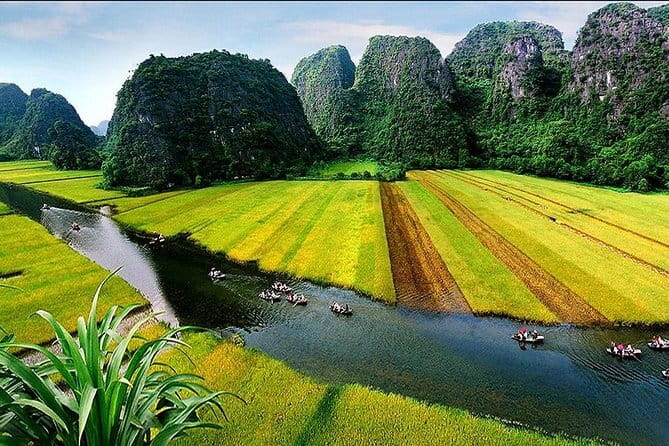 Halong Bay Shore Excursion 6 Hour Private Cruise from Cruise Port - Practical advice before you book