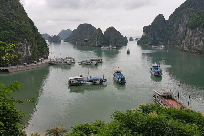 Halong Bay Shore Excursion: Full Day Cruise Tour from Cruise Port - Why this Ha Long Bay day works well for cruise passengers