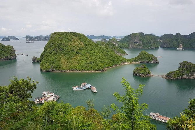 Halong Bay Shore Excursion: Full Day Cruise Tour from Cruise Port - Boat service, group size, and guide quality