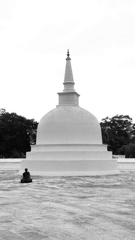 Hambantota Shore Excursion: Village and Cultural tour - Choosing between a village tour and a safari