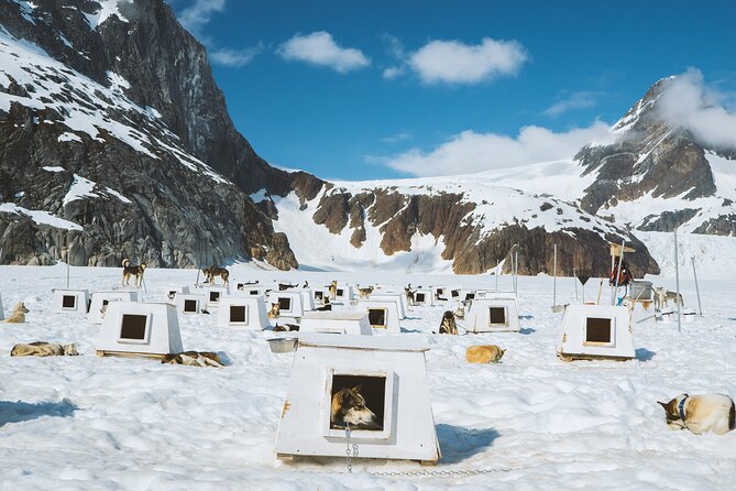 Helicopter To a Dogsledding Experience - How much value do you get for $727?