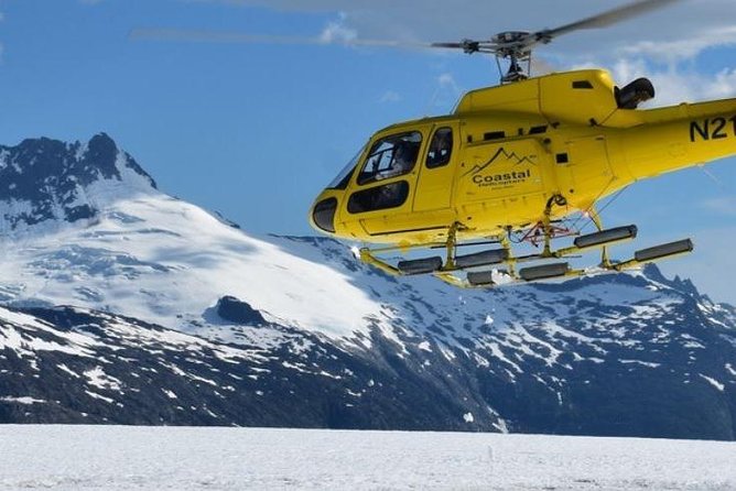 Helicopter to a Dogsledding Experience with a Glacier Landing - Meeting the sled dogs at Herbert Glacier