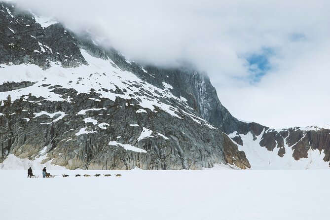 Helicopter to a Dogsledding Experience with a Glacier Landing - Who will enjoy this Juneau outing most