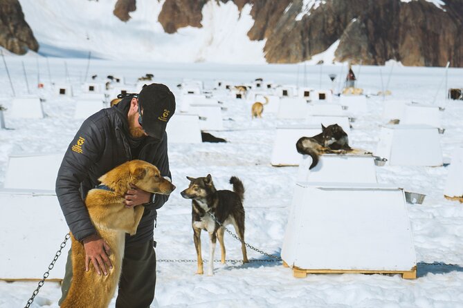 Helicopter to a Dogsledding Experience with a Glacier Landing - What the 40-minute dog sled ride feels like