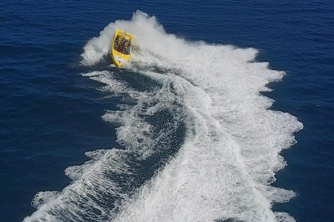High Speed Harbor Tour from Charlotte Amalie Cruise Port - What the captain adds to the experience