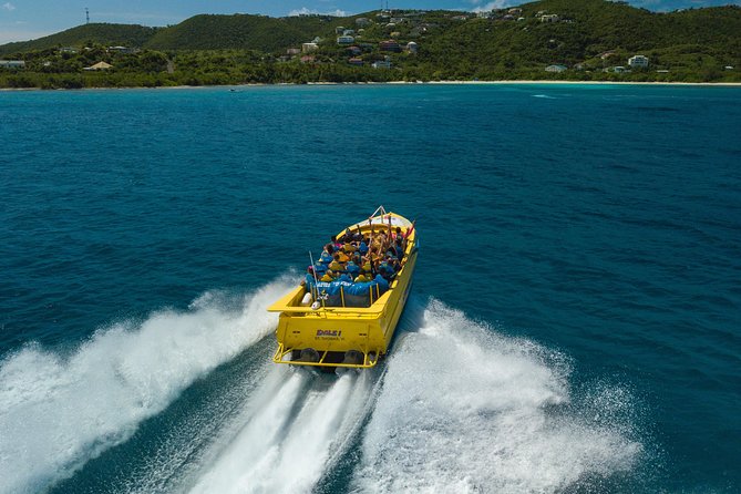 High Speed Harbor Tour from Charlotte Amalie Cruise Port - How wet and intense is it?