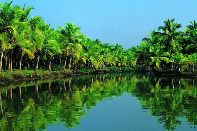Highlights of Cochin - Group Shore Excursion from Pier - Fort Kochi and the Chinese Fishing Nets