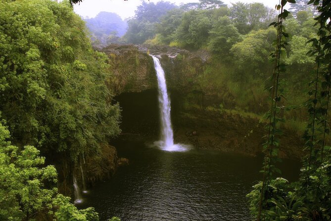 Hilo and Volcano National Park Tour for Cruise Passengers at port - What $230 includes, and what it does not