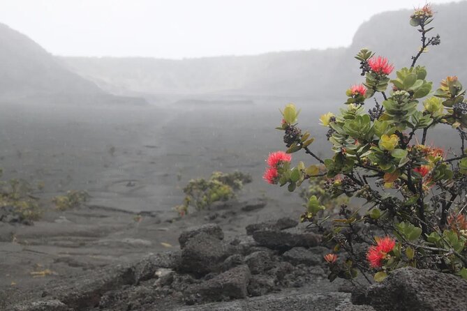 Hilo Cruise Ship Excursion: Volcanoes National Park Rainbow Falls - The guide matters more than the bus