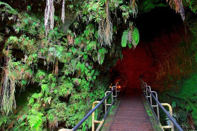Hilo Shore Excursion: Visit Volcano, Waterfall, Beach with Lunch - Who should book this Big Island day?