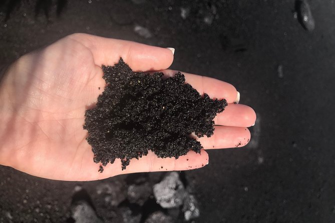 Hilo Shore Excursion: Volcano Safari Lava Caves & Black Sand - Lava Tree State Park and the shapes left by fire