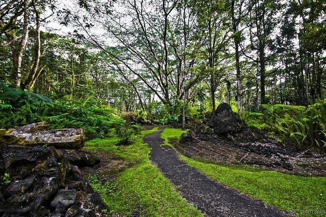 Hilo Shore Excursion: Volcano Safari Lava Caves & Black Sand - What $154 buys you