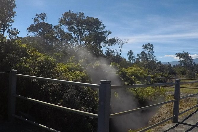Hilo Shore Excursion: Volcanoes National Park & Black Sand Beach - Why this Hilo shore excursion works