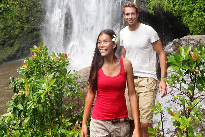 Hilo Waterfall Swim and Hike with Hilo Cruise Ship Pickup - Key points to know before booking