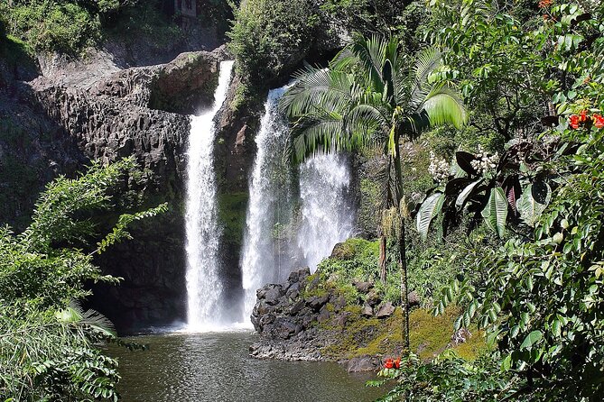 Hilo Waterfall Swim and Hike with Hilo Cruise Ship Pickup - What this Hilo waterfall tour is really about