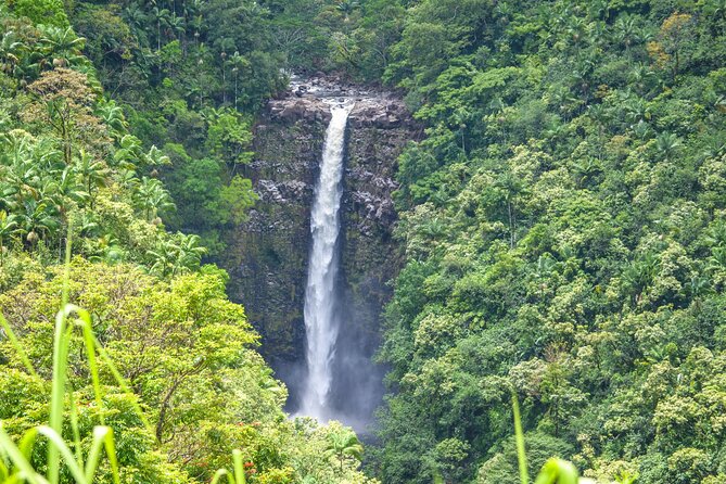 Hilo Waterfall Swim and Hike with Hilo Cruise Ship Pickup - What to bring, and what the price includes