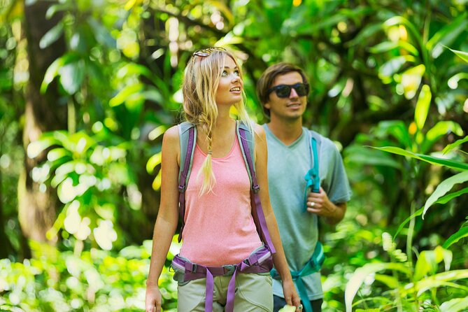 Hilo Waterfall Swim and Hike with Hilo Cruise Ship Pickup - Is $198.95 a fair price?