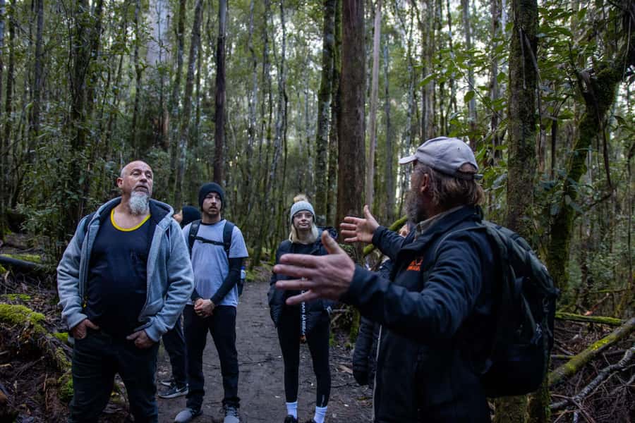 Hobart: Mt Field National Park & Wildlife Shore Excursion - Is $130 a fair price?