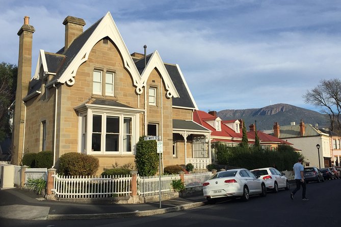 Hobart Shore Excursion: Bonorong Bus - What the wildlife encounter adds