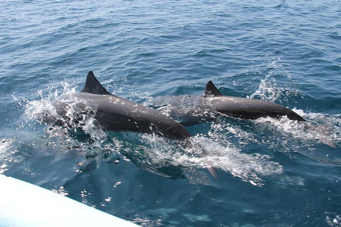 Huatulco Shore Excursion: Seven Bays Private Tour - Seven bays from the deck of New Adventure